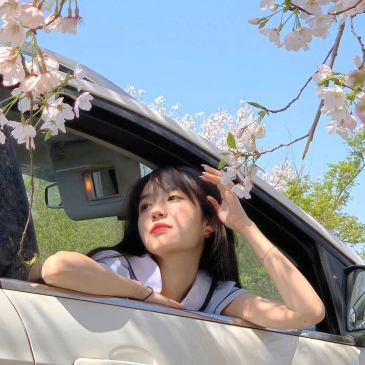 吉田俊司 - 动漫新番免费在线观看 - 客户端看电影